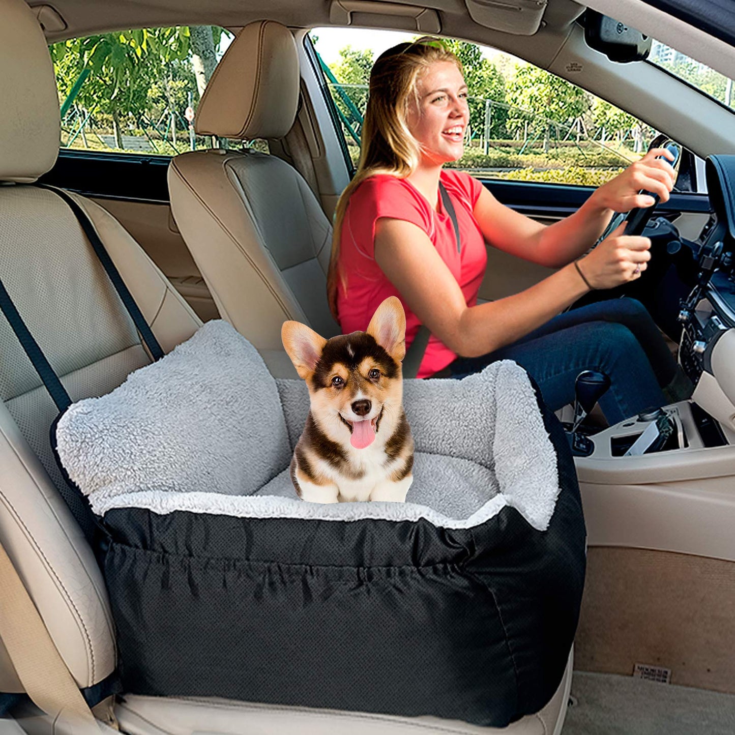 BurgeonNest Dog Car Seat for Small Dogs – Black